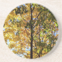 Folhagem Amarelo e Verde