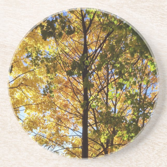 Porta-copos Folhagem Amarelo e Verde (Frente)