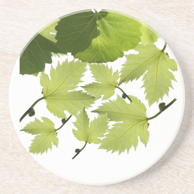 Porta-copos Folhas Verdes da Vinha de Grama (Frente)