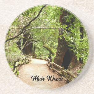 Porta-copos Fotografia da Natureza do Caminho Muir Woods II