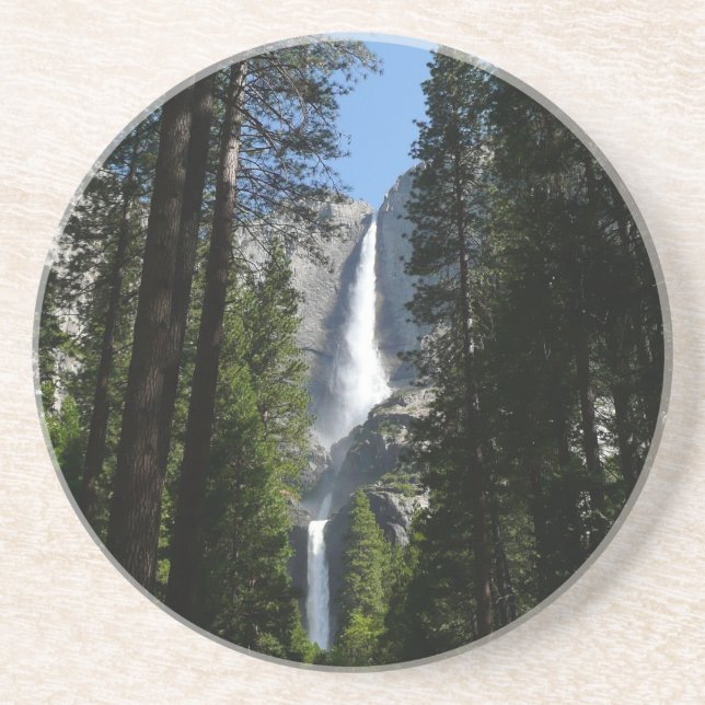 Porta-copos Fotografia de Yosemite Falls and Woods Landscape (Frente)