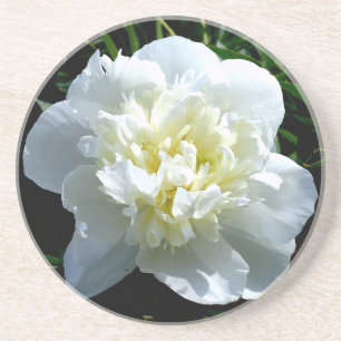 Porta-copos Fotografia floral branca de pénia branca Elegante