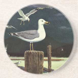 Porta-copos Gaivota Vintage Empoleirada no Pier, Animais Aves 