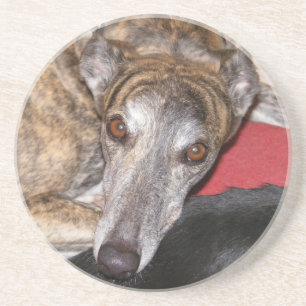 Porta-copos Galgo rajado