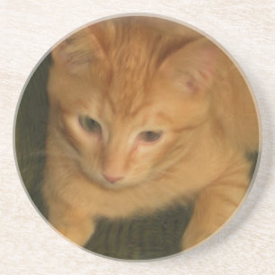 Porta copos Gatinho