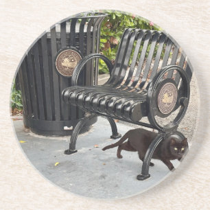 Porta-copos Gatinho no Parque