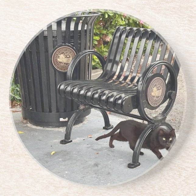 Porta-copos Gatinho no Parque (Frente)