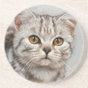Porta-copos gato