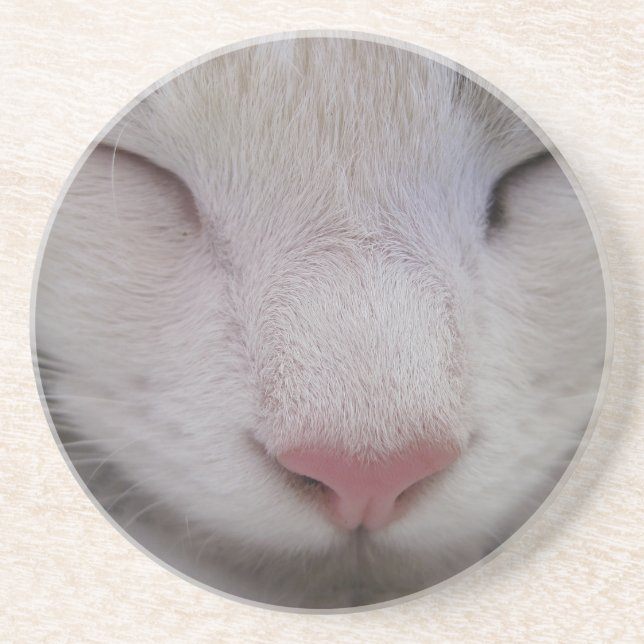 Porta-copos Gato Dormindo (Frente)