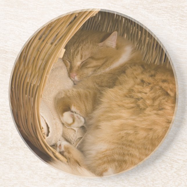 Porta-copos Gato laranja dormindo na cesta (Frente)