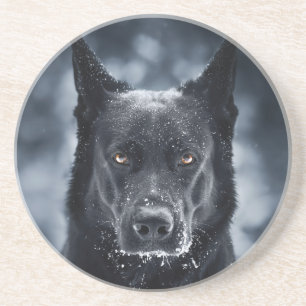 Porta-copos German shepherd Preto