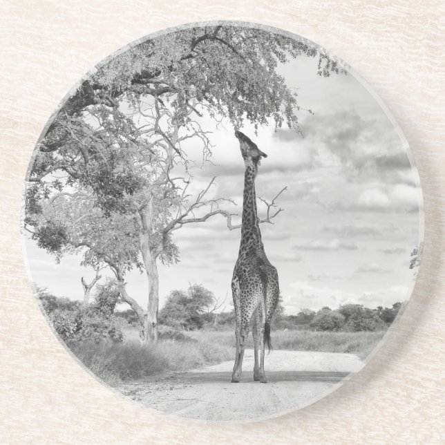 Porta-copos Girafa na estrada (Frente)