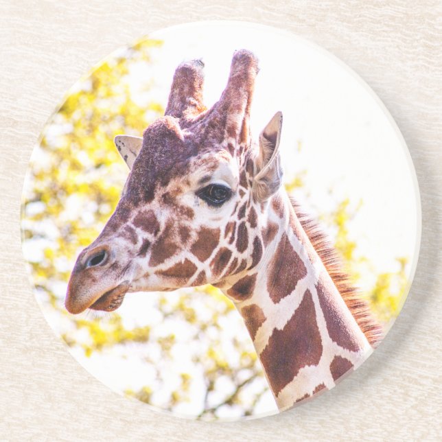 Porta-copos Giraffe Portrait (Frente)