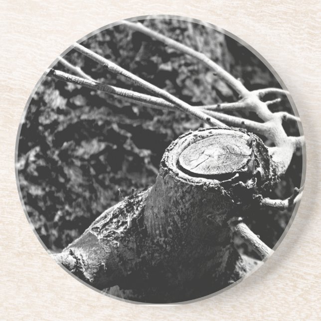 Porta-copos girar-me à volta da árvore (Frente)