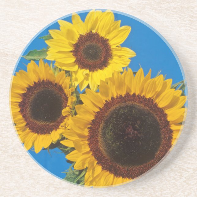 Porta-copos Girassóis contra cerca azul (Frente)
