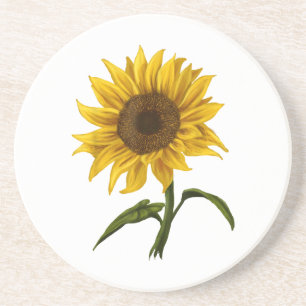 Porta-copos Girassol Sunshine Floral Watercolor Flor