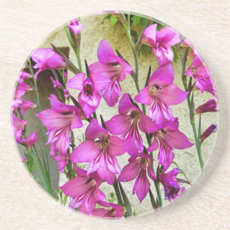 Porta-copos Gladiolus bizantino