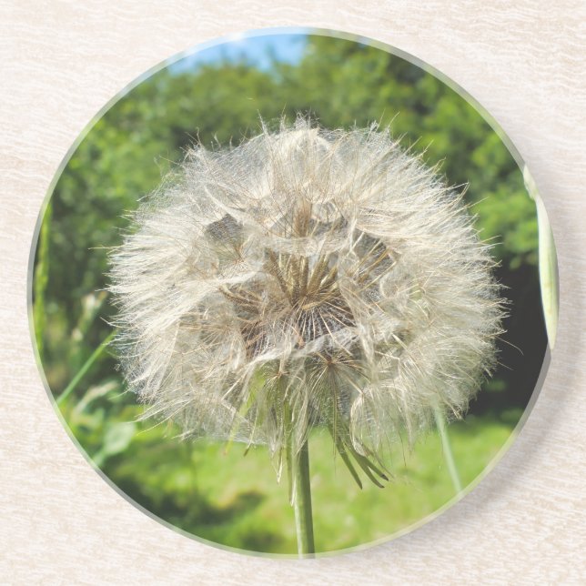 Porta-copos Goatsbeard Wildflower (Frente)
