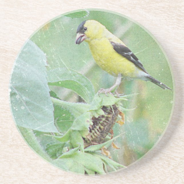 Porta-copos Goldfinch Grunge (Frente)