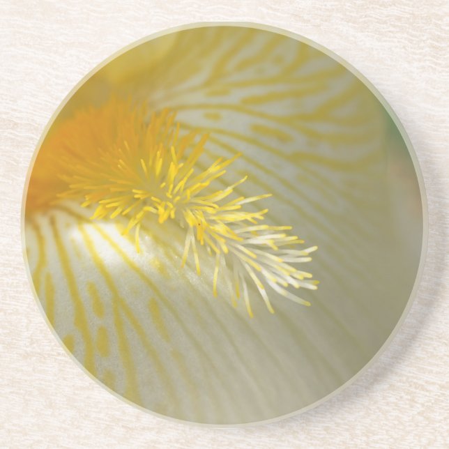 Porta-copos Good Morning Iris! (Frente)