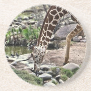 Porta-copos Gracious Giraffe