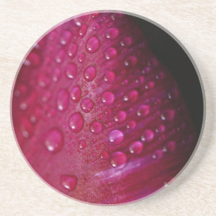 Porta copos Grávida de Tulipas no Rosa Petal Suave