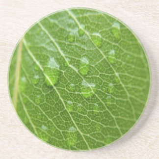 Porta-copos Green Leaf