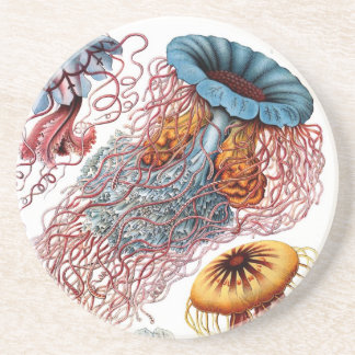Porta-copos Haeckel