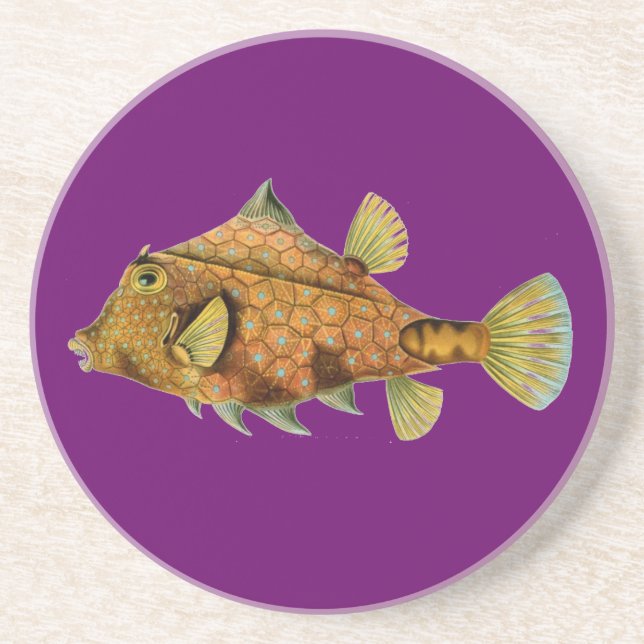 Porta-copos Haeckel Fish (Frente)