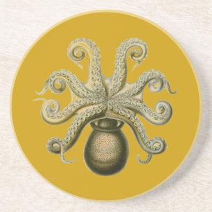 Porta-copos Haeckel Octopus