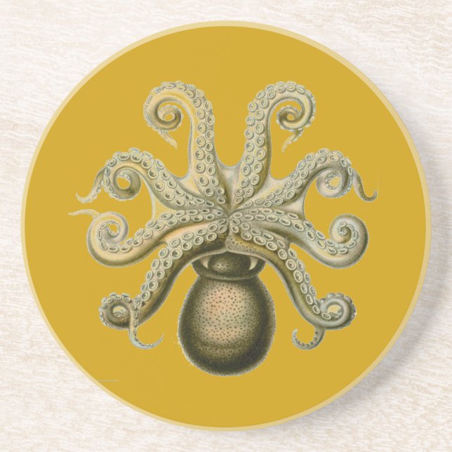 Porta-copos Haeckel Octopus (Frente)