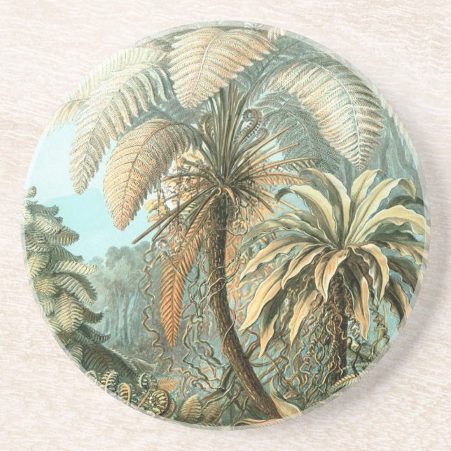Porta-copos Haeckel Palm Trees (Frente)