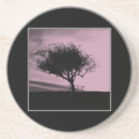 Hawthorn de Glastonbury. Árvore no monte. Rosa,
