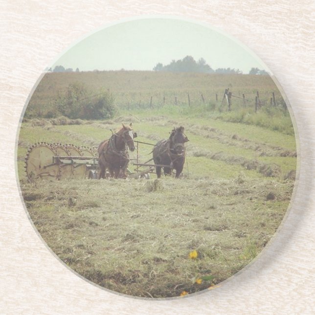 Porta-copos Hay Time (Frente)