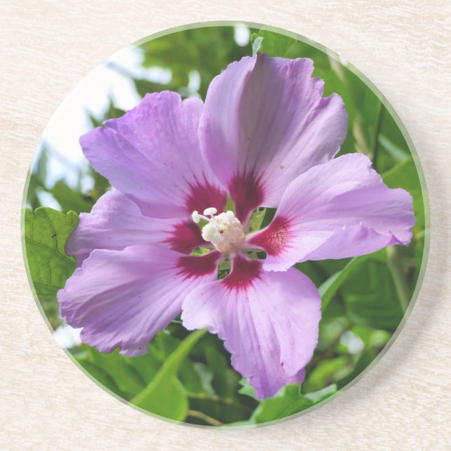 Porta-copos Hibiscus (Frente)