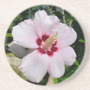 Porta-copos Hibiscus