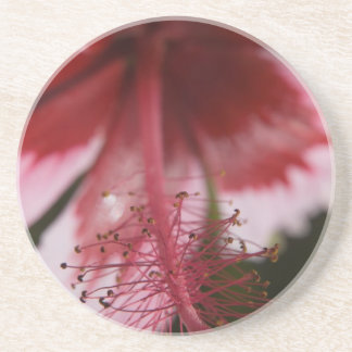 Porta-copos Hibiscus do Havaí Vermelho e Rosa