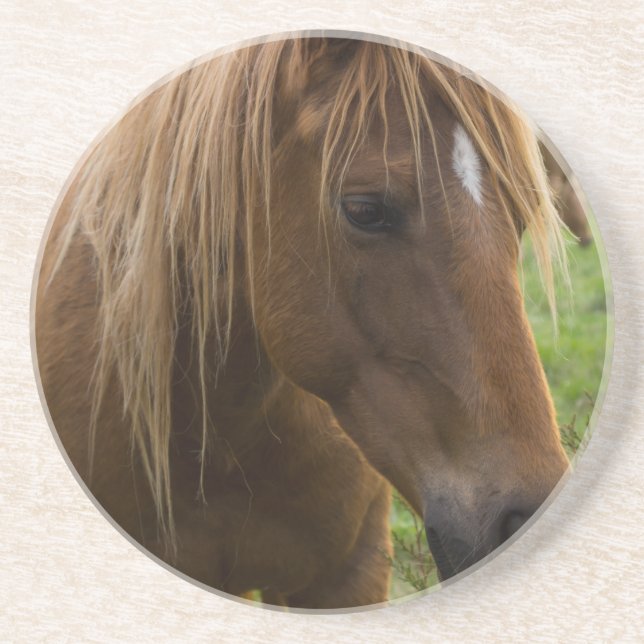 Porta-copos Horse Hello (Frente)