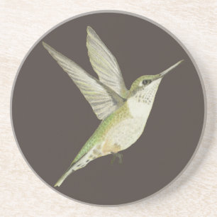 Porta-copos Hummingbird