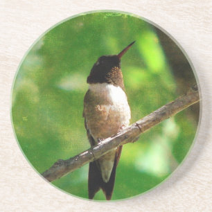 Porta-copos Hummingbird Morning