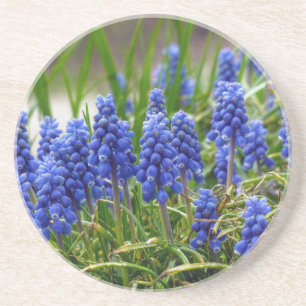 Porta-copos Hyacinth Grape