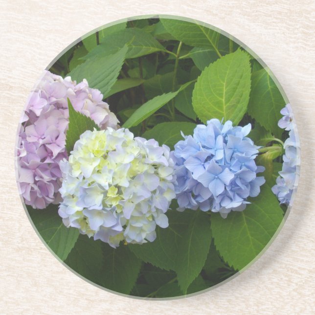 Porta-copos Hydrangeas (Frente)