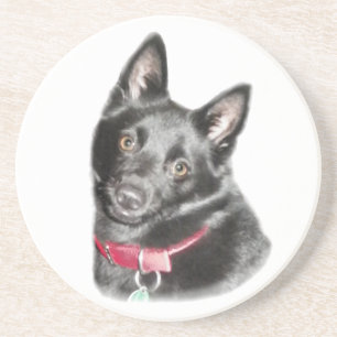 Porta-copos Imagem de Schipperke
