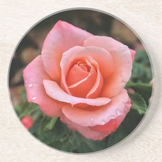 Porta-copos Impressão de Arte Botânica Rosa Romântica (Frente)