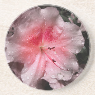 Porta copos interna brilhante