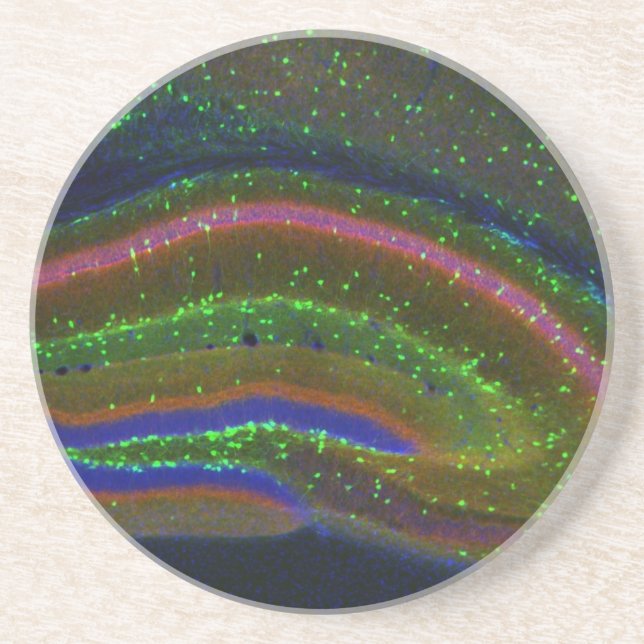 Porta-copos Interneuron 6 (Frente)