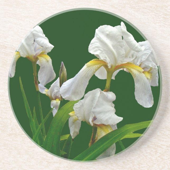 Porta-copos Iris Blossomas Brancos (Frente)