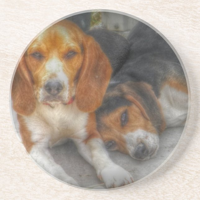 Porta-copos Irmão Beagles (Frente)