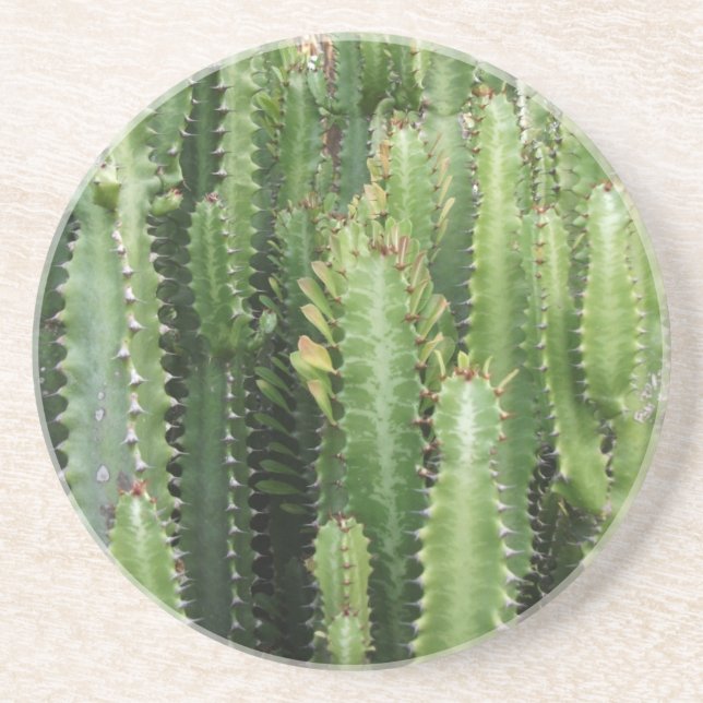 Porta-copos Jardim de Cactus (Frente)