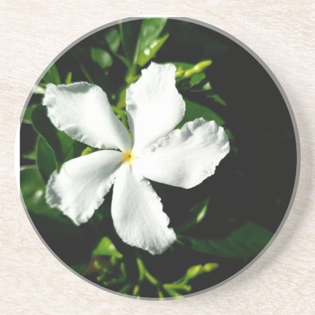 Porta-copos Jasmim com roda branca à luz do sol (Frente)